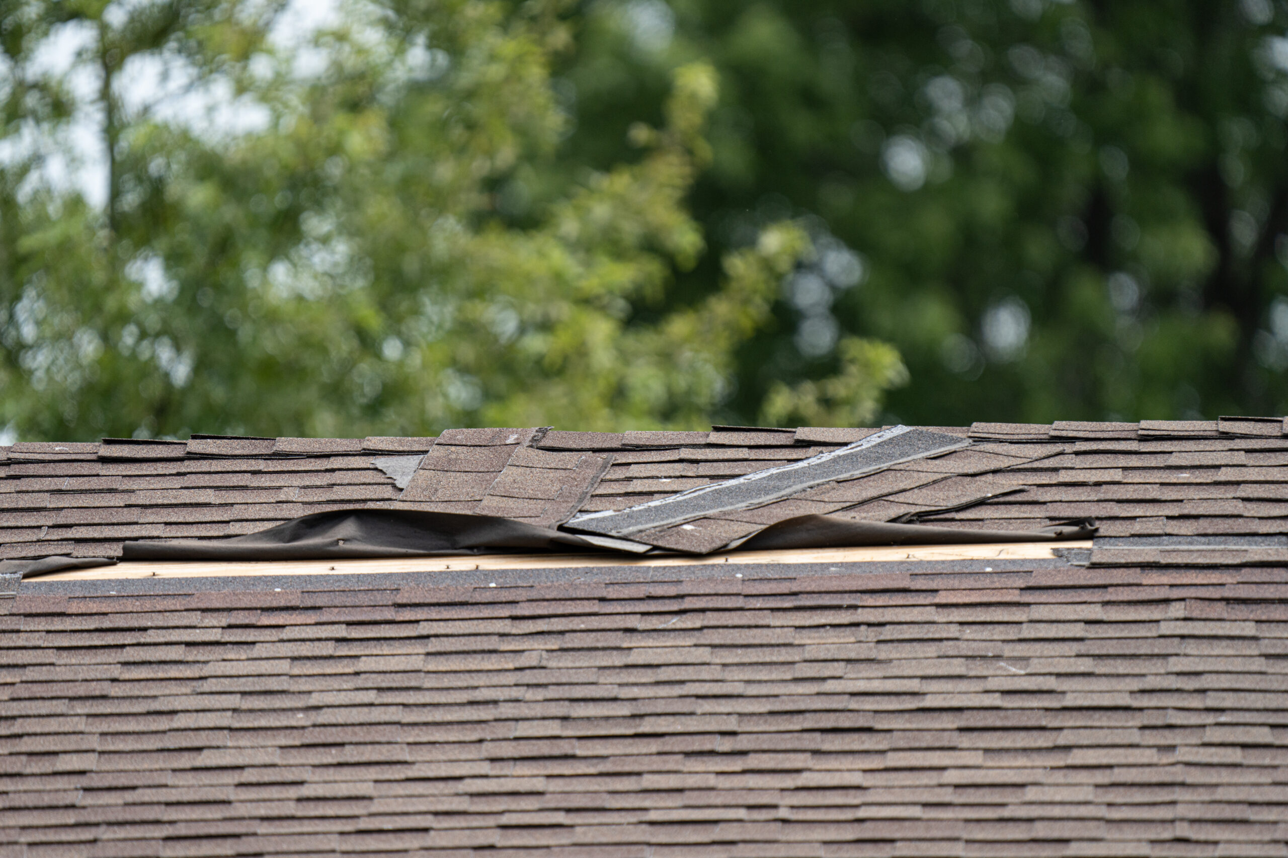 Brown Asphalt Roof With Shingles Blown Up Due To Storm