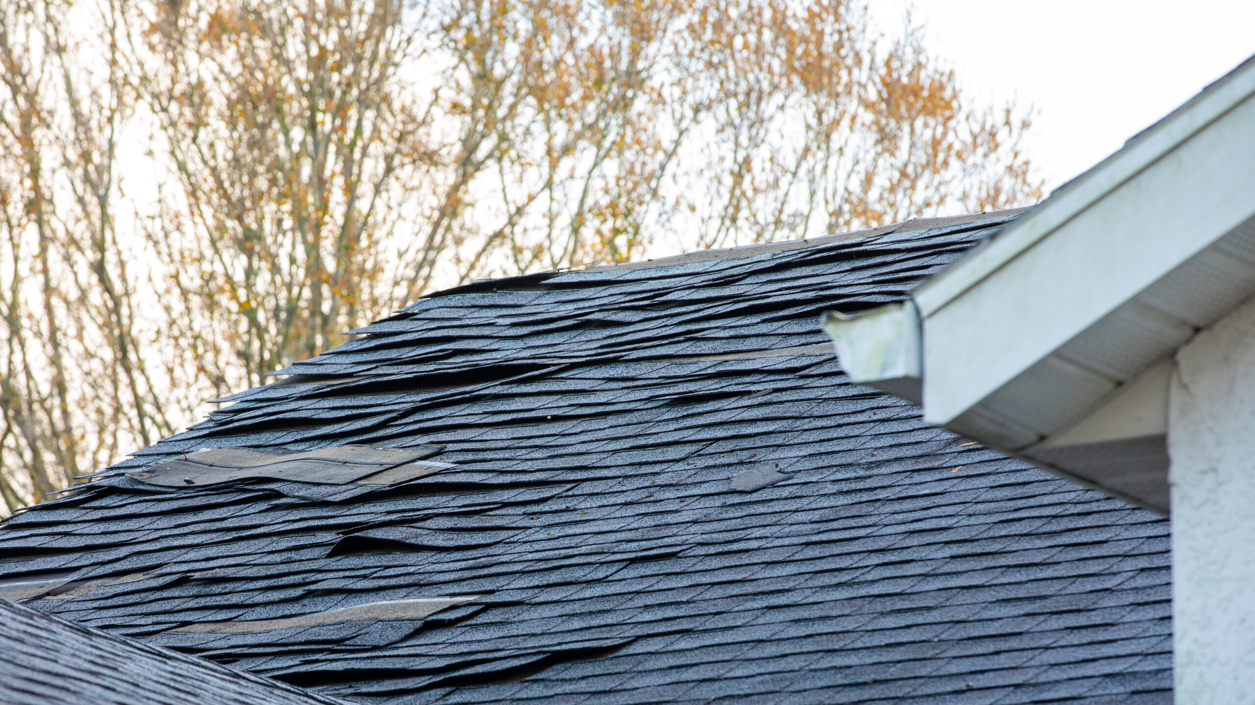 Asphalt Roof With Intense Storm And Wind Damage